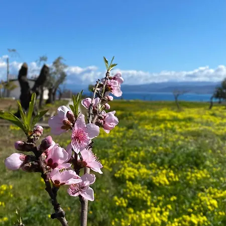 Casa Ruris - Country Briatico