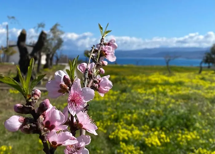 Casa Ruris - Country Briatico